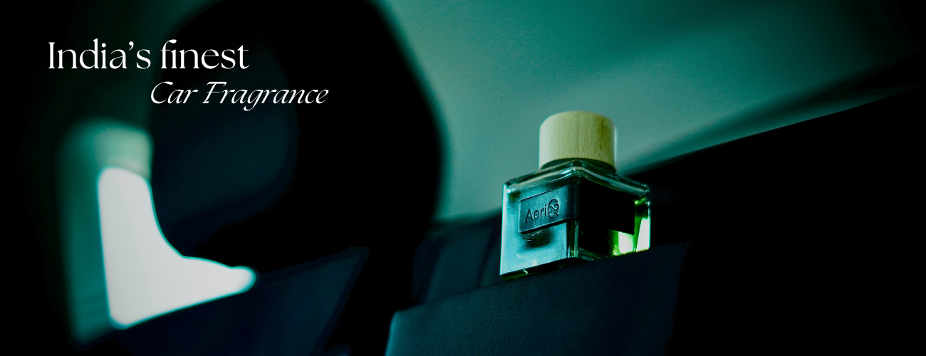 slider image slider_item_ghRQ4H