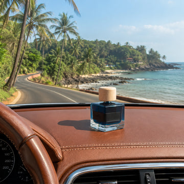 Goa Salt Drift