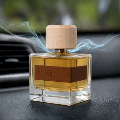 Enjoy A Balanced Cabin Scent