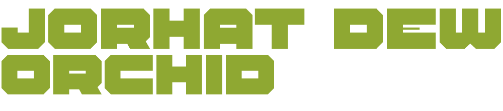 Extra image